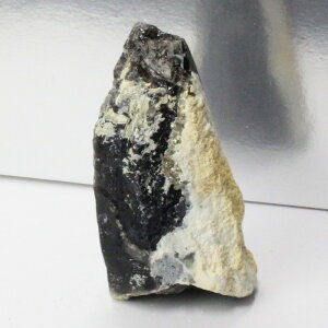 y_ zI NX^[  Morion I   ׋C NX^[ u  CeA  INX^[ Y fB[X lC   VR 