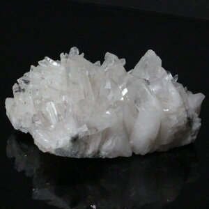  NX^[ NX^ Crystal bNNX^   򉻗p z z VR u  NX^[ NX^[ Y fB[X lC  VR COA 