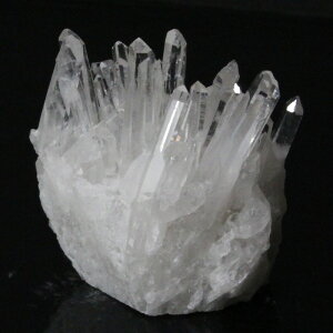  NX^[ 傤 NX^ Crystal NH[c   NX^[ z NX^[ Y fB[X lC  VR COA 