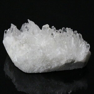  NX^[ Crystal bNNX^ NH[c   򉻗p z z VR u  NX^[ NX^[ p[Xg[ NX^ VR Y fB[X l