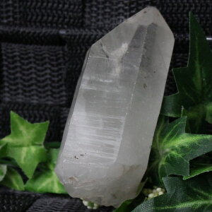 yI _zq}  |Cg 傤 NX^ Crystal NH[c  NX^[ 򉻗p   q} q} |Cg VR  lC  