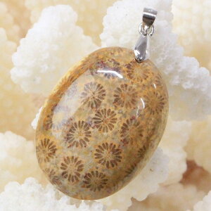 yVR y_ggbv 嗱zX  y_g  TS R[ tHVR[ X lbNX y_ggbv Pendant X艻 y_g p[Xg[ lbNX 