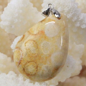 yVR y_ggbv 嗱zTS  y_g  tHVR[ X TS y_ggbv Necklace lbNX TS y_g p[Xg[ y_g lC 