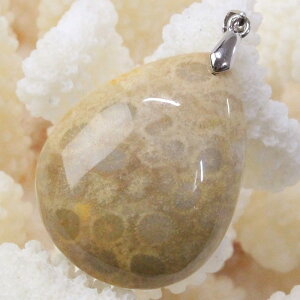 yVR y_ggbv 嗱zX  y_g  TS R[ tHVR[ X lbNX y_ggbv Pendant X艻 y_g p[Xg[ lbNX 