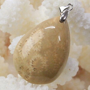 X  y_g  TS R[ tHVR[ X lbNX y_ggbv Pendant X艻 y_g VR lbNX lC  p[Xg[ _ X