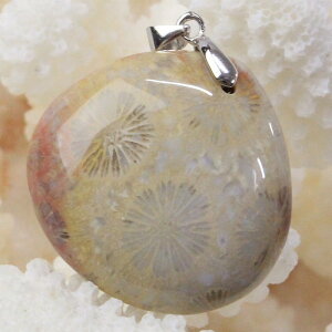 X  y_g  X tHbVR[ tHVR[ TS y_ggbv lbNX Pendant X艻 y_g Y fB[X lC   VR X