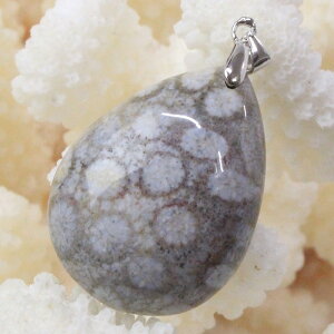 y_ zX  y_g  TS R[ tHVR[ X lbNX y_ggbv Pendant X艻 y_g COAi LuLu HouseinEX ͂