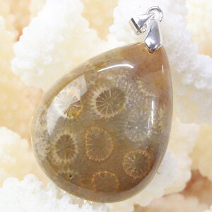 yVR y_ggbv 嗱zTS  y_g  TS X R[ tHVR[ y_ggbv lbNX ؂񂾂 Pendant TS y_g p[Xg