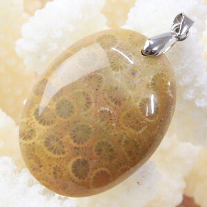 yVR y_ggbv 嗱zX  y_g  TS R[ tHVR[ X lbNX y_ggbv Pendant X艻 y_g p[Xg[ lbNX 