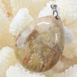 yVR y_ggbv 嗱zX  y_g  X tHbVR[ tHVR[ TS lbNX y_ggbv ؂񂾂 Pendant X艻 y_g VR