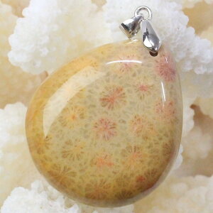 yVR y_ggbv 嗱zTS  y_g  tHVR[ X TS y_ggbv lbNX ؂񂾂 Pendant TS y_g p[Xg[ y