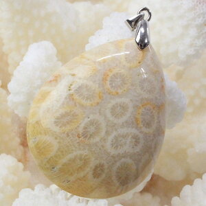 y _zX  y_g  TS X R[ tHVR[ lbNX y_ggbv ؂񂾂 Pendant X艻 y_g p[Xg[ y_ggbv 