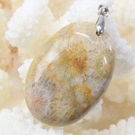 【レア 1点物】珊瑚 化石 ペンダント 化石 フォシルコーラル 珊瑚 サンゴ ペンダントトップ ネックレス Pendant 珊瑚化石 ペンダント パワーストーン ネックレス 天然石 メンズ レディース 人気 珊瑚