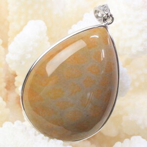 yIi _zX  y_g  tHVR[ X TS y_ggbv lbNX Pendant X艻 y_g Y fB[X VR  _ X