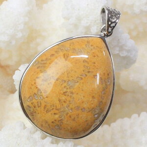 yA 1_zTS  y_g  TS R[ tHVR[ X y_ggbv lbNX ؂񂾂 Pendant TS y_g Y fB[X _ACe