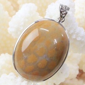 【一点物 現物】珊瑚 化石 ペンダント 化石 サンゴ 珊瑚 コーラル フォシルコーラル ネックレス ペンダントトップ Pendant 珊瑚化石 ペンダント パワーストーン ネックレス 天然石 メンズ レディース 人気 珊瑚