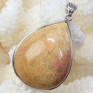 yIi _zTS  y_g  TS R[ tHVR[ X y_ggbv lbNX ؂񂾂 Pendant TS y_g VR lbNX lC 