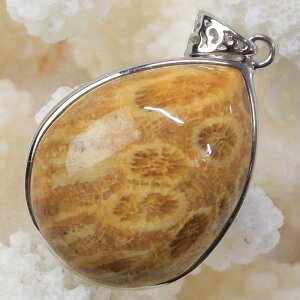 X  y_g  TS R[ tHVR[ X lbNX y_ggbv Pendant X艻 y_g VR lbNX p[Xg[  _ X