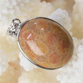 【一点物 現物】珊瑚 化石 ペンダント 化石 サンゴ 珊瑚 フォッシルコーラル フォシルコーラル ネックレス ペンダントトップ ぺんだんと Pendant 珊瑚化石 ペンダント パワーストーン ペンダント 天然石 メンズ レディース 人気 珊瑚