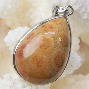 y _zTS  y_g  TS X R[ tHVR[ y_ggbv lbNX ؂񂾂 Pendant TS y_g VR lbNX lC 