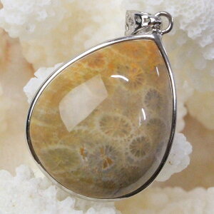 y_ zX  y_g  TS R[ tHVR[ X lbNX y_ggbv Pendant X艻 y_g Y fB[X lC  VR CO