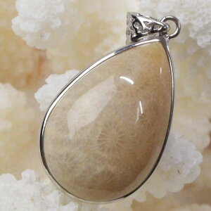 TS  y_g  tHVR[ X TS lbNX y_ggbv Pendant TS y_g p[Xg[ lbNX VR Y fB[X lC TS