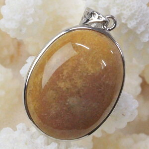 y _zX  y_g  X tHbVR[ tHVR[ TS y_ggbv lbNX ؂񂾂 Pendant X艻 y_g Y fB[X p