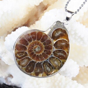 AiCg y_gbAmmonoidea Ammonite AiCg  AL }G e fossil lbNX y_g Necklace `[ lbNX Pendant bY fB[X p[X