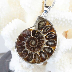 アンモナイト ペンダント｜アンモナイト Ammonoidea Ammonite 化石 アンモン貝 マリエラ 菊石 fossil ネックレス 首飾り ペンダント ネックレス チャーム Pendant Necklace Charm 首輪｜メンズ レディース パワーストーン 天然石 アンモナイト【ポイント割引商品】