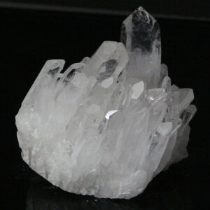 y _z NX^[ Crystal 傤 NH[c  NX^  򉻗p z z VR u  NX^[ NX^[ VR  lC  p[X