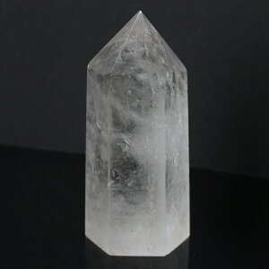 yNAiōO[h_ 傫 TCYz |Cg NH[c NX^   |Cg z 򉻗p z  u |Cg Y fB[X VR  _