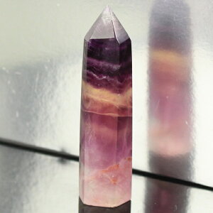 yuWYōi _zt[Cg |Cg u t[Cg u   z |Cg NX^[ CeA Point t[Cg|Cg Y fB[X _ p[X