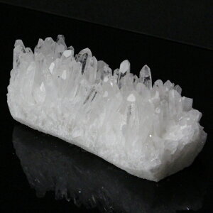 yꋉi̋P I_z NX^[ Crystal NH[c  NX^ NX^[ z u   NX^[ p[Xg[  VR Y fB[X lC 