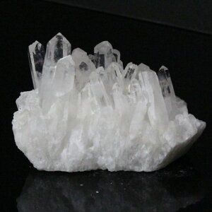  NX^[ Crystal NH[c  NX^  򉻗p VR z u  NX^[ NX^[ Y fB[X lC  VR COA 