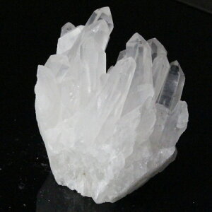 yiVR _z NX^[ NH[c   z u 򉻗p  NX^[ NX^[ p[Xg[  lC  VR COAi 