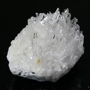  NX^[ NX^   z u  NX^[ NX^[ Y fB[X VR  _ 