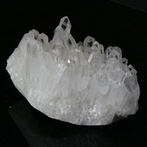 yꋉi̋P I_z NX^[ 傤  NX^  z z 򉻗p VR u  NX^[  Cluster NX^[ p[Xg[  VR 