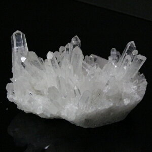  NX^[ NH[c Crystal   򉻗p VR z u  NX^[ NX^[ p[Xg[ NX^[ VR Y fB[X lC 