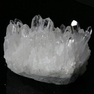 yꋉi̋P I_z NX^[ NH[c Crystal  NX^[ z u   NX^[ VR  lC  p[Xg[ _ 