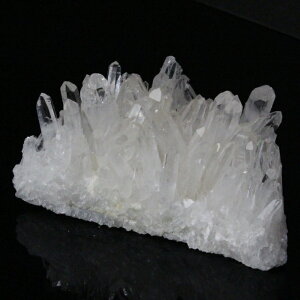 yNAiōO[ḧꋉi _z NX^[ Crystal NH[c  NX^  VR z u 򉻗p  NX^[ NX^[ Y fB[X VR