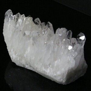 yNAiōO[ḧꋉi _z NX^[ 傤  NX^  z u 򉻗p  NX^[ NX^[ p[Xg[ NX^[ lC 