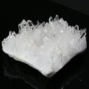 yNAiōO[ḧꋉi _z NX^[ 傤  NX^  z u 򉻗p  NX^[ NX^[ Y fB[X VR  _