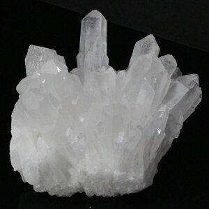 yrbNTCY Ii _z NX^[ NH[c   򉻗p VR u  NX^[  NX^[ VR  lC  p[Xg[ _ 