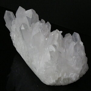 yI_ 傫TCYz NX^[ 傤  NX^  z u 򉻗p  NX^[ NX^[ VR  p[Xg[  _ 