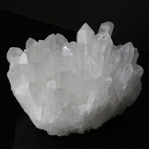 y傫 TCY iVR _z NX^[ 傤  NX^  z u 򉻗p  NX^[ NX^[ Y fB[X VR  _ 