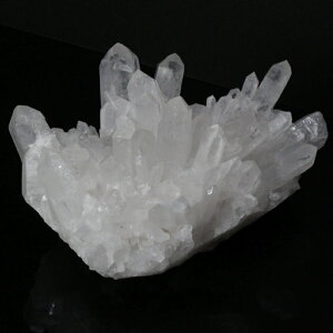 y傫 TCY iVR _z NX^[ Crystal NX^   z u  NX^[ NX^[ p[Xg[  lC  VR COAi 