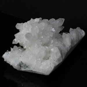 yI_ 傫TCYz NX^[ NH[c Crystal   򉻗p VR z u  NX^[ NX^[ Y fB[X lC  VR COA