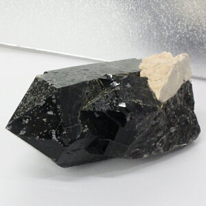 I  I Morion    ׋C  NX^[ u I p[Xg[  VR Y fB[X lC I