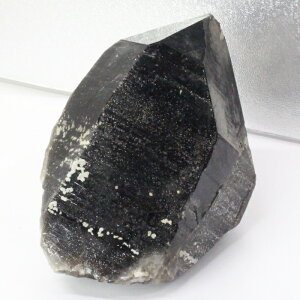 y傫 TCY Ii _zI  Morion  I NX^[   ׋C  u I p[Xg[ NX^[ lC  VR CO