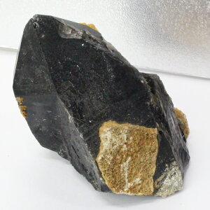 y傫 TCY ꋉi̋P I_zI   I   ׋C  NX^[ u   CeA  I VR  lC  